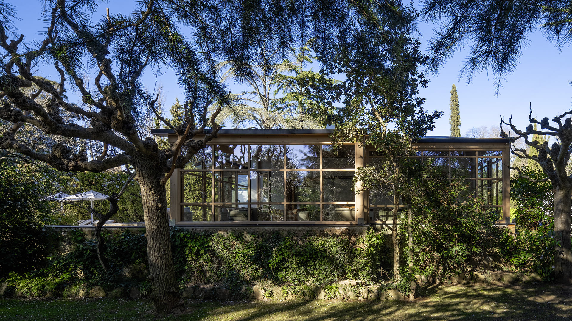 Refuge in the Woods