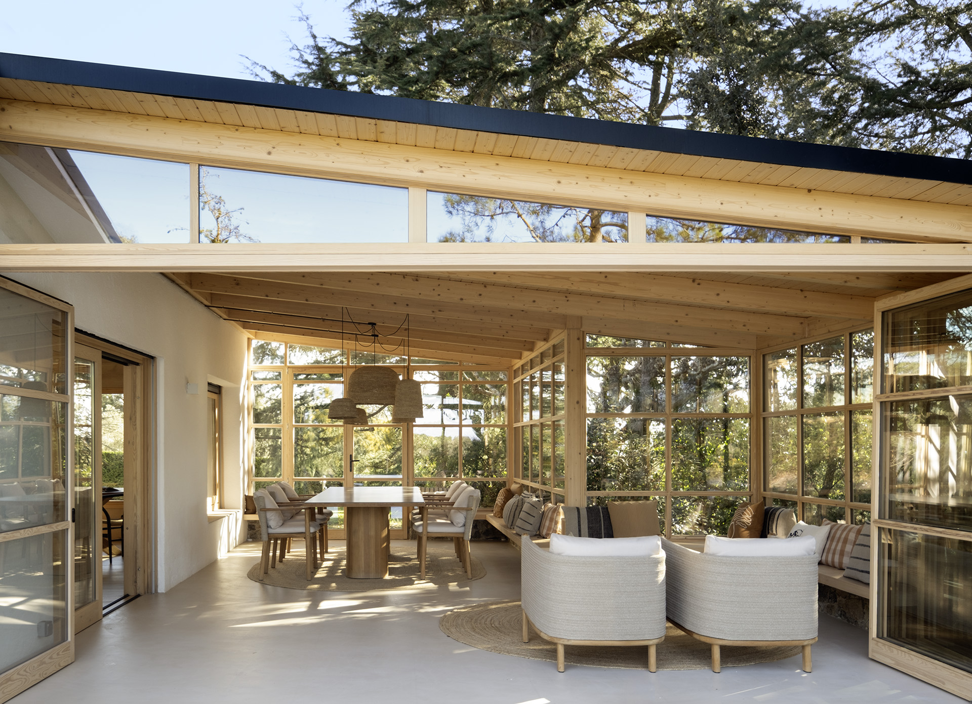 Refuge in the Woods