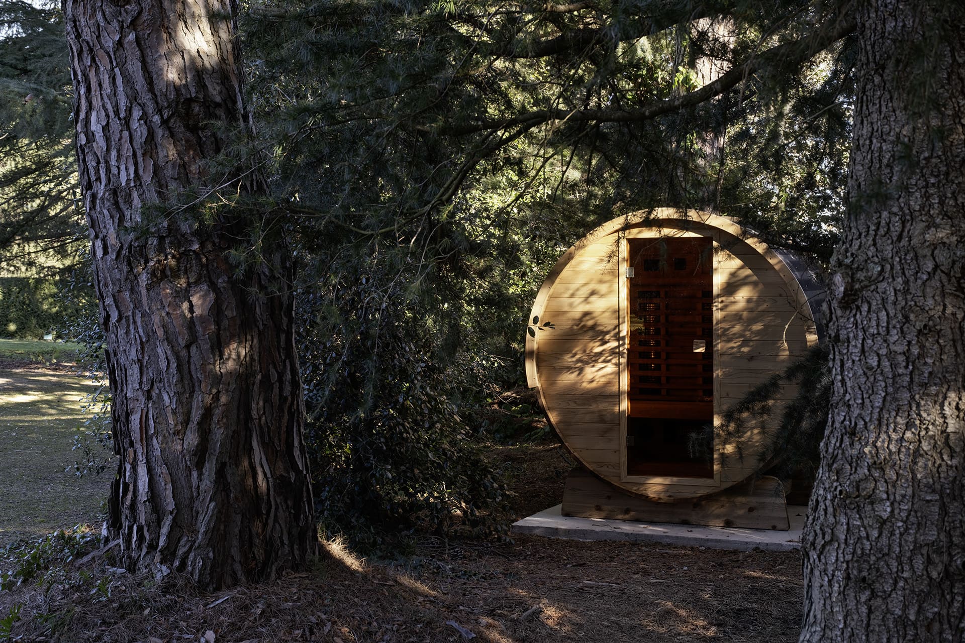 Refuge in the Woods