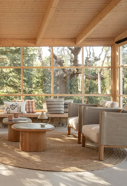 Refuge in the Woods